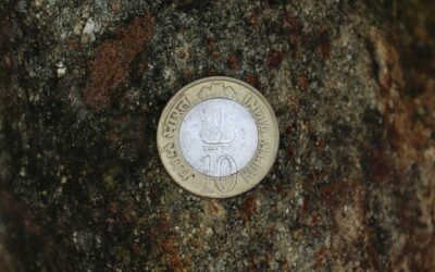 Commercialista per liquidità cooperative