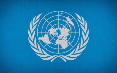 Commercialista per consulente Onu