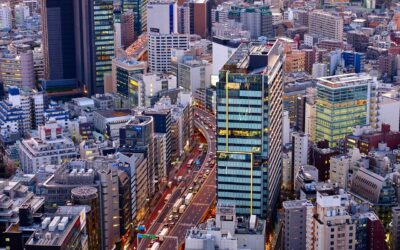 Dichiarazione dei redditi consulenti Fao