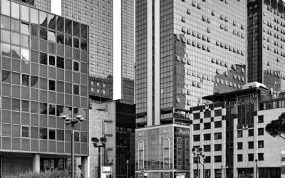 Partita iva consulenti Fao