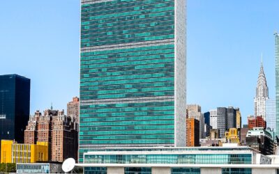 Dichiarazione dei redditi consulenti Onu