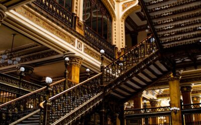 Dichiarazione dei redditi pensionati Fao