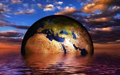 Dichiarazione dei redditi funzionari Unicef