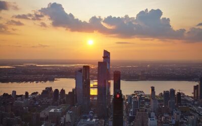 Dichiarazione dei redditi funzionari Unhcr