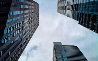 Conferimenti in società semplici 2025