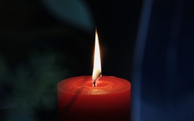 Cosa devi fare se ricevi un’intimazione di pagamento?