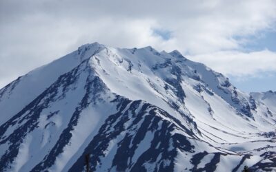 Decadenza condono per debito socio: cosa sapere