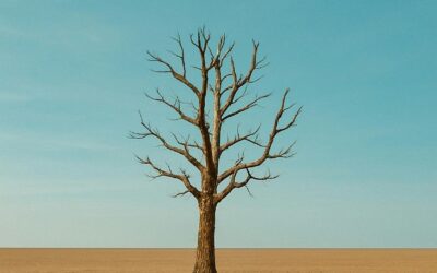 Impugna immediatamente una intimazione di pagamento