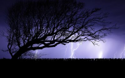 Cosa devi fare se ti chiedono contributi previdenziali vecchi?