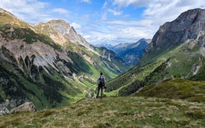 Impugna subito le richieste di Equitalia