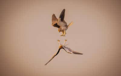 Incentivi fiscali per residenti all’estero