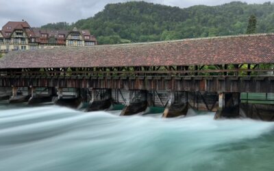 Commercialista per professionisti: guida completa