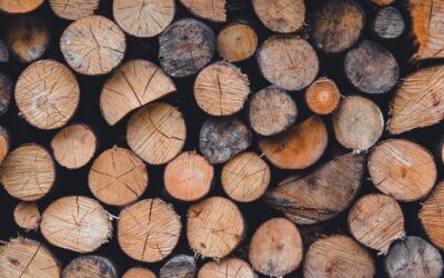 Condono tombale 2025: chiamaci subito per assistenza