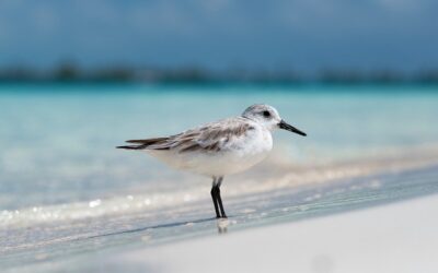 Fondo perduto per under 35