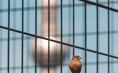 I requisiti fiscali delle ASD