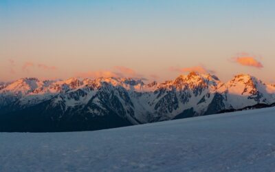 Agisci subito sulla prescrizione Equitalia