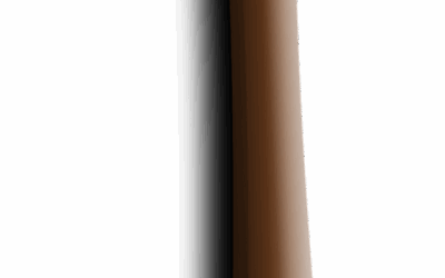 L’artigiano nelle diverse forme di impresa