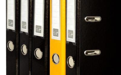 Fai domanda subito per la quinques!