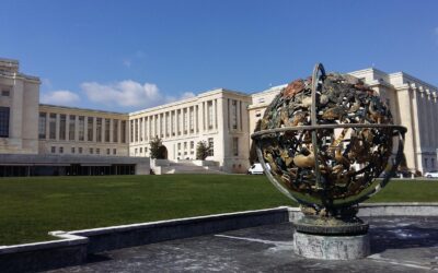 Sei un consulente UNIFEM? Devi pagare le imposte